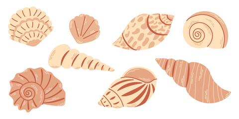 Set of different sea shells in monochrome beige colors isolated on white background. Illustrations in modern flat style.