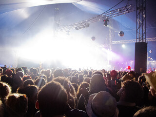 Fototapeta na wymiar Fans facing illuminated stage at music festival