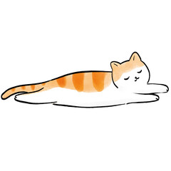 Ginger Cat