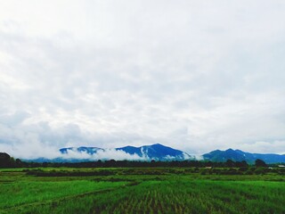 Fototapeta premium landscape with mountains and blue sky