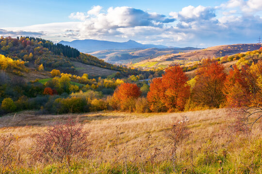 beautiful view in to the rural valley. autumn scenery on a sunny afternoon. clouds above the distant ridge with high peak