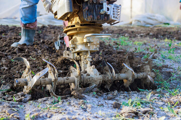 Obraz premium There is farmer plowing ground with tiller block using motor cultivator in garden