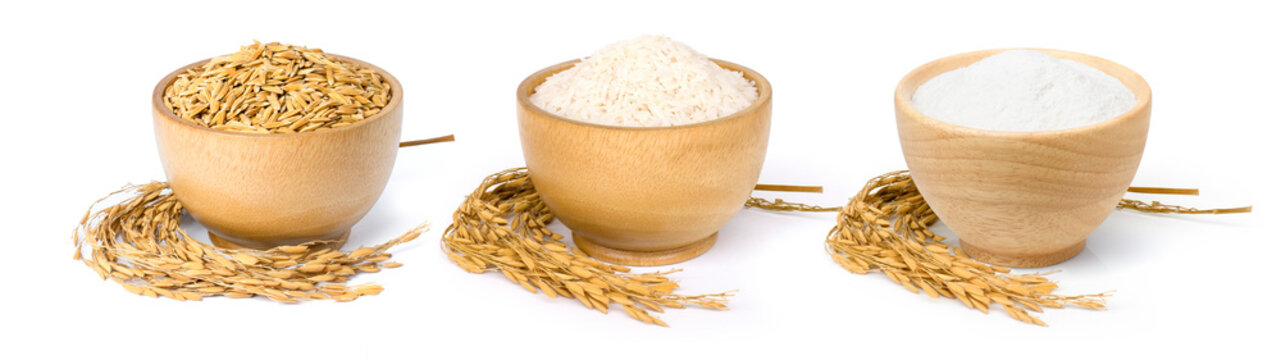 Paddy rice, white rice and rice flour in wooden bowl isolated on white background.