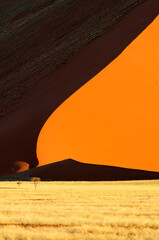 Sand dunes in Namib desert. Sossusvlei. Namib-Naukluft National Park. Namibia