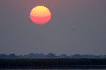 Okavango delta at sunrise. Botswana