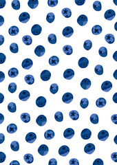 Blueberry on white background.Eps 10 vector.