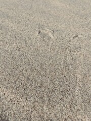 Natural beach sand background, white sand, sea sand 