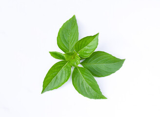 Fresh sweet basil leaves isolated on white background, top view, flat lay.