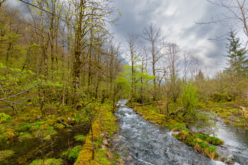 river in the mountains