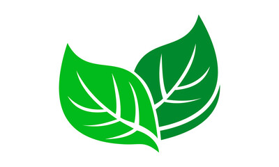  leaf vector illustration logo icon