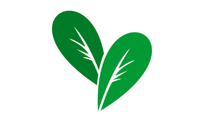 vector leaf logo design