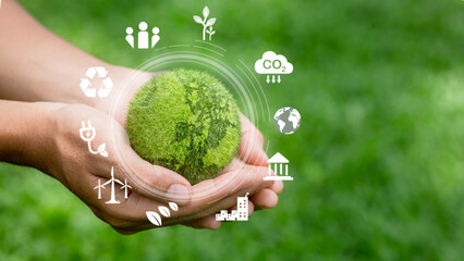 net zero and carbon neutral concept net zero emissions target Long-term, climate-neutral strategy global sustainable environmental goal with mesh icon and green background