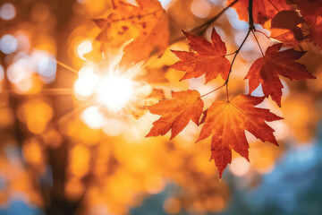 red and orange maple leaf in autumn time on blurred background, AI