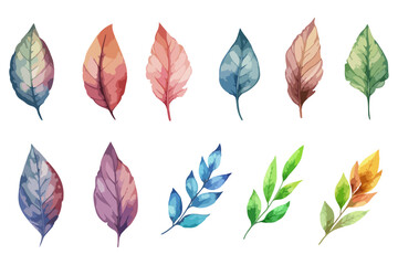 Set watercolor elements of collection garden flowers and leaves, branches. Botanic Wedding floral arrangements for greeting card or invitation design. 