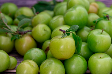 Summer fruit green plum. fresh green plums.