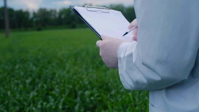 Botanist scientist analyzing plant crop making notes in a journal. Woman gardener biologist testing the quality growth of plantations, agricultural research, care