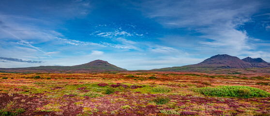 Panoramic over Icelandic colorful and wild landscape with meadow and moss field, volcanic black sand and lava at summer with blue sky, Iceland