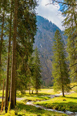 Mountain idyll near Röthbach in Berchtesgaden National Park