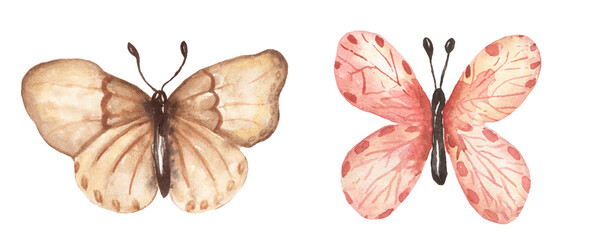 Watercolor butterfly illustration set, insect clipart, moth