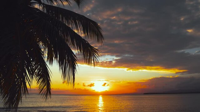Beautiful silhouette of a palm tree on the background of a sea sunset, view from the beach. Sunset in blue sky with orange clouds over the Caribbean Sea. Nice summer seascape. Sun glare on the water.