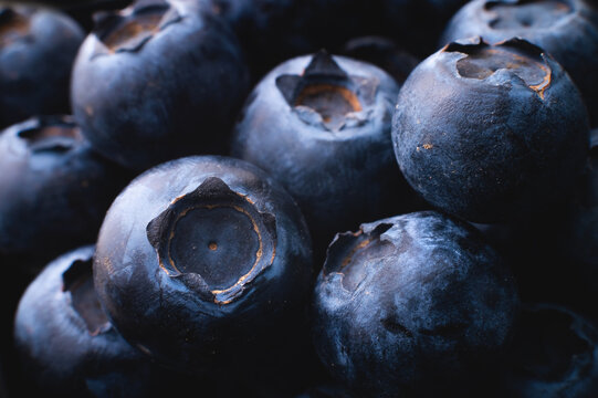 Blueberry background, close-up. Blueberry, macro. Background of many fresh blueberries. Beautiful poster or wallpaper with blueberries