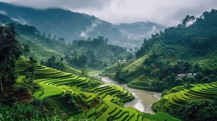 Fotobehang Tranquil Rice Terraces Cascading Down A Mountainside. Generative AI © Ян Заболотний