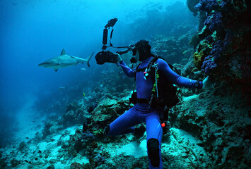 Scuba diver on a reef filming a shark in the distance - from Indonesian waters
