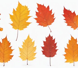 Autumn leaves on white background. Generative AI.