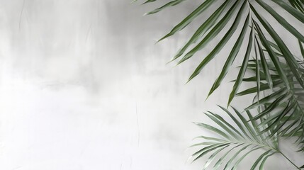 White gray grunge cement texture wall leaf plant shadow background.Summer tropical travel beach with a minimal concept.