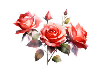 Fototapeta premium watercolor rose white background. ai