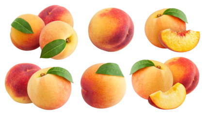 Peach, Nectarine, isolated on white background, full depth of field