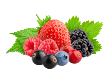 wild berries mix, strawberry, raspberry, currant, blueberry, cranberry, blackberry,, blackberries isolated on white background, full depth of field