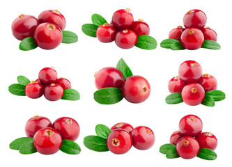 cranberry isolated on white background, full depth of field