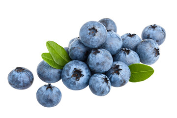 blueberry, isolated on white background, full depth of field