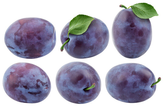 plum isolated on white background, full depth of field