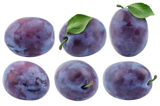plum isolated on white background, full depth of field