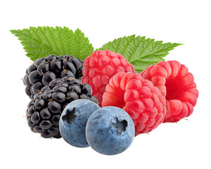 wild berries mix, raspberry, blueberries, blackberries isolated on white background, full depth of...