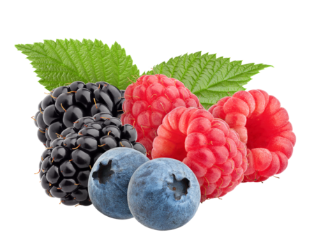 wild berries mix, raspberry, blueberries, blackberries isolated on white background, full depth of field