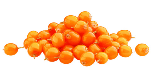 Sea buckthorn isolated on white background, full depth of field