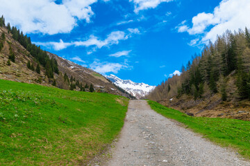 hiking path towards the Italian alps (Ahrntal valley, south tyrol, Italy)