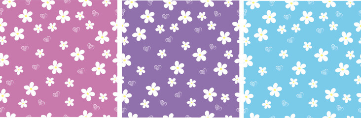 Floral pattern. Daisies on a lilac background.High quality vector illustration.
