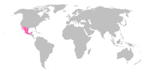 Vector map of the world with the country of Mexico highlighted in Pink on grey white background.
