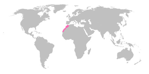 Fototapeta na wymiar Vector map of the world with the country of Morocco highlighted in Pink on grey white background.