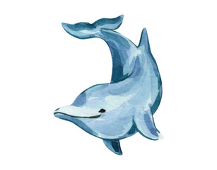 Watercolor illustration with blue dolphin. Isolated dolphin on a white background. Sea inhabitants