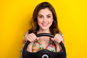 Portrait of lovely positive lady arms hold wheel beaming smile isolated on yellow color background