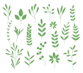 Vector Flat spring flower, leaf collection. Collection of greenery leaf plant forest herbs tropical leaves.