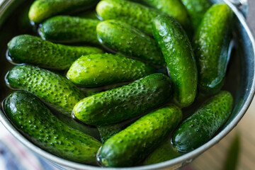Cucumbers are soaked in water for preservation