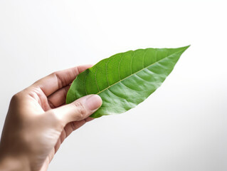 Close up green leaf on hand. Earth day and Ecology concept. AI generative