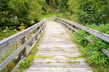Fototapeta premium Wooden bridge in forest on hiking trail, Goschenertal, Switzerland.