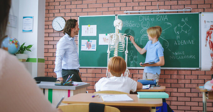 Caucasian small teen schoolboy answering at human scelet model to male teacher of biology or anatomy. Classes at school concept. Education for children. Rear of pupils in classroom.